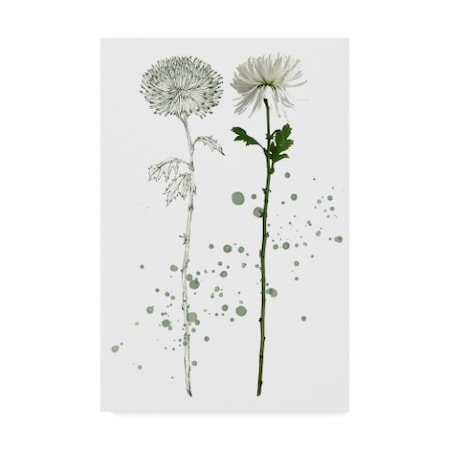 Melissa Wang 'Botany Flower Iv' Canvas Art,12x19